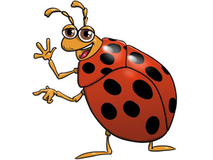 Viens dessiner un insecte !