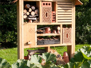 Ateliers nichoirs à insectes