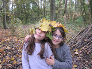 Stage d’Automne