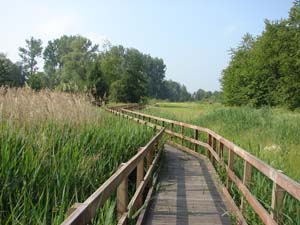 Stage « Aventure en terres inconnues »