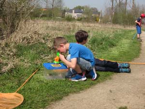 Stage « Insectes, fais-moi peur ! »