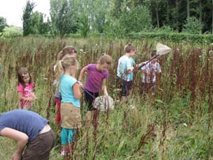 Stage « Insectes, même pas peur ! »