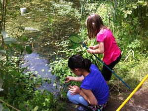 Stage « Grenouilles et crapauds se marrent dans la mare »