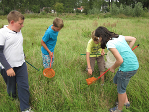 Stage « Vendredi chez les insectes »