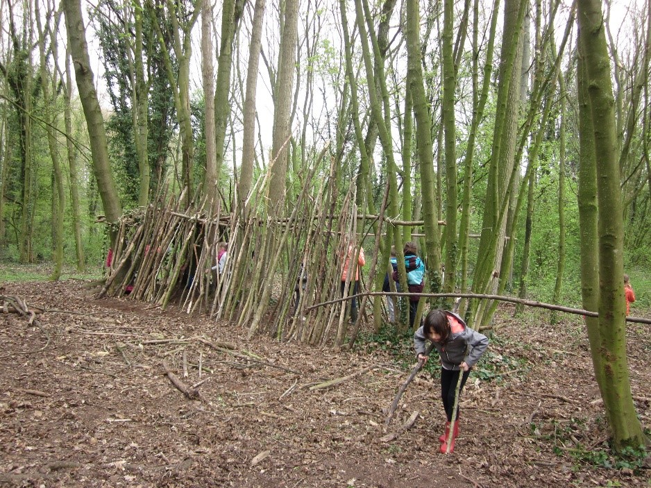 Stage « Les ninjas du Wachnet »