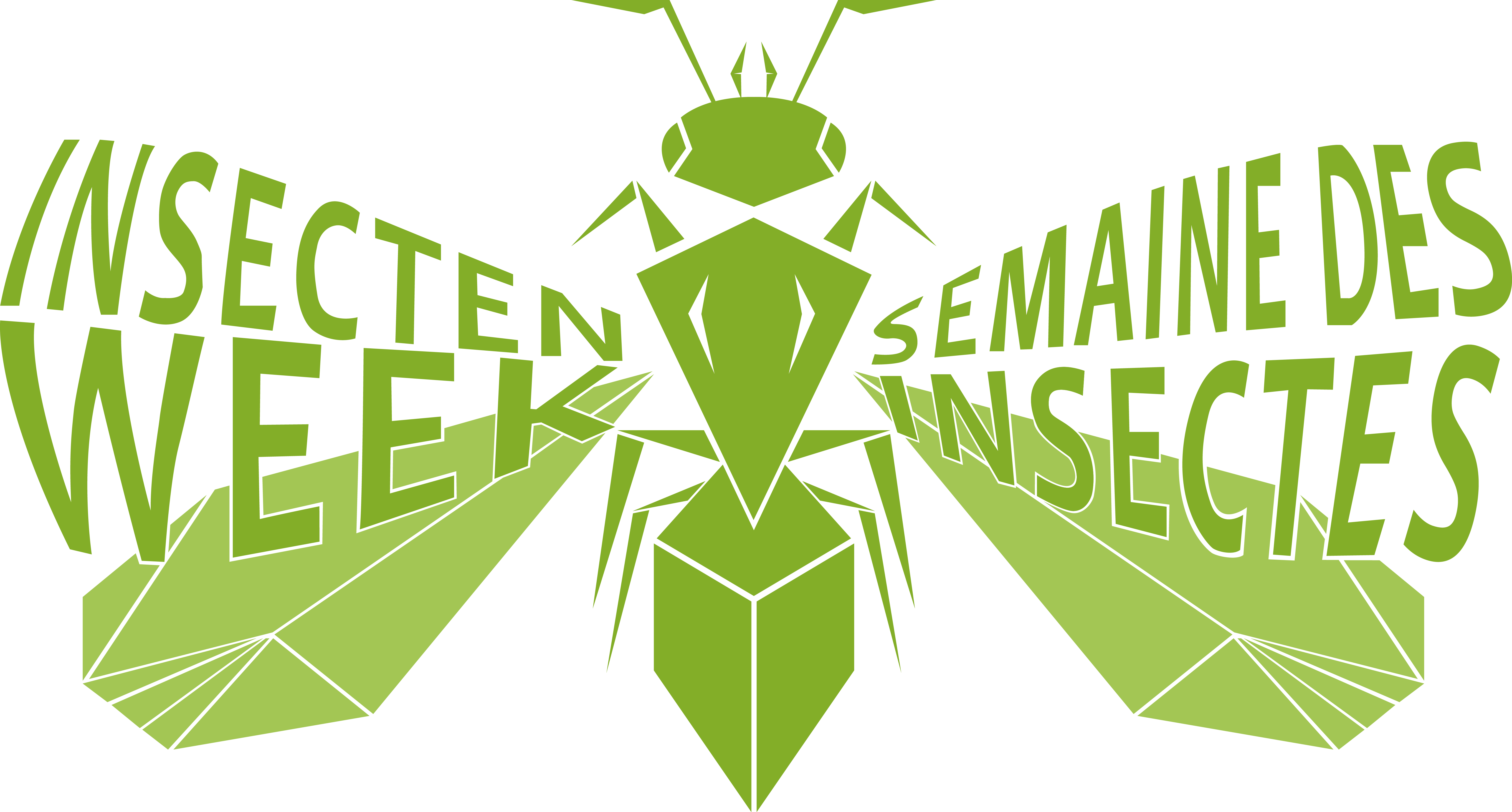 Semaine des Insectes